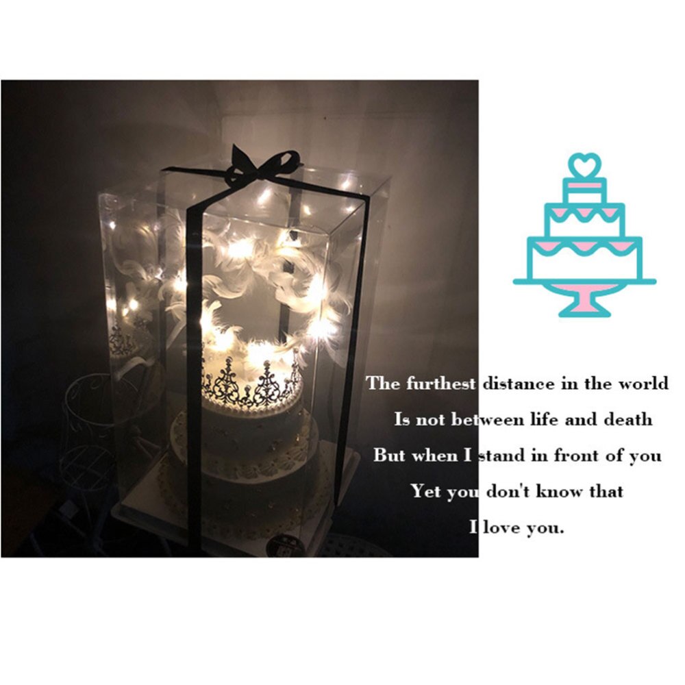 2Pcs 8inch Transparent Birthday Cake Box Cake Container Box Dessert Storage Box (Transparent)