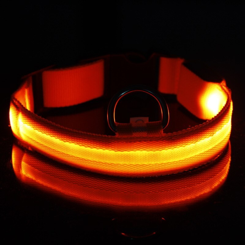 Hals Band Voor Halsband Led Shining In Het Donker Verstelbare Kleurrijke Oplaadbare Met Usb Antilost Voorkomen Decoratie Huisdier Kraag