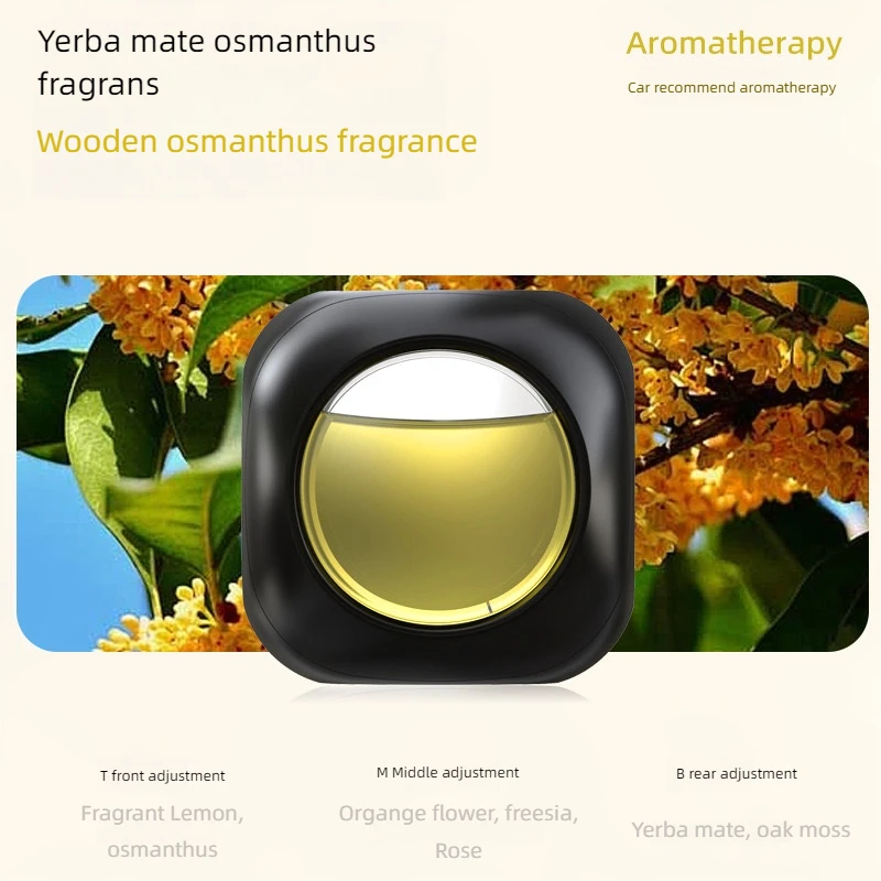 Autogeur Auto Luchtuitlaat Aromatherapie Clip met Essentiële Olie Luchtverfrisser Auto-interieur Geur Verwijderen Geur Parfum
