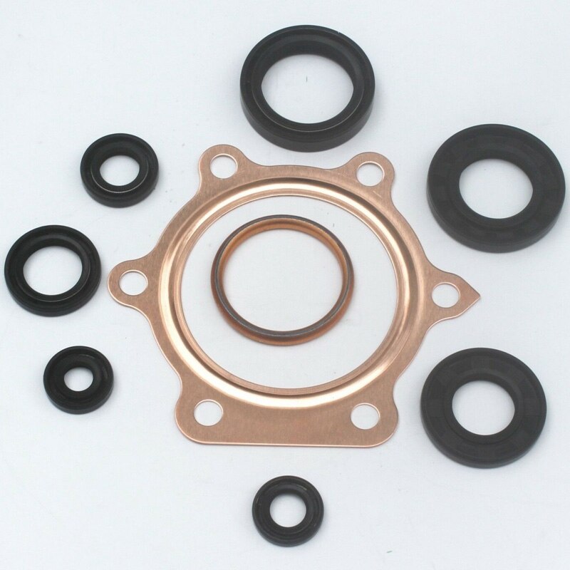 Gasket Kit Complete Set for Yamaha Blaster YFS200 1988-2006 with Oil Seals