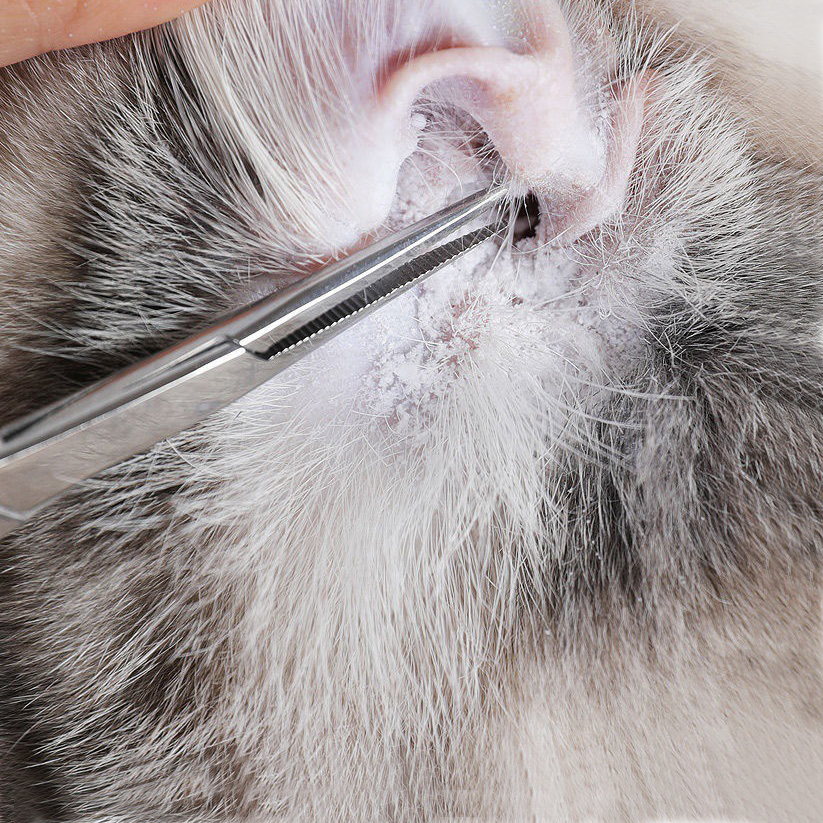 Pinzas de pelo de oreja de nariz de perro de acero inoxidable, pinzas de bloqueo hemostático, rectas y curvadas con sujeción de mandíbulas dentadas, alicates de pesca