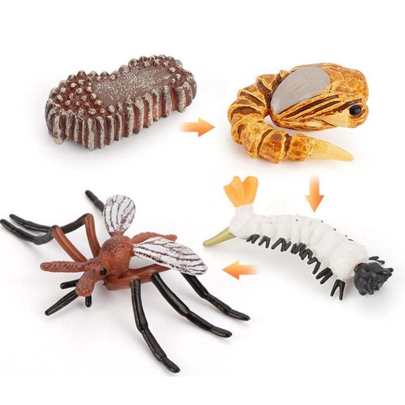 Frog Ant Mosquito Sea Turtle Chicken Butterfly Growth Cycle Model Figures Toys Simulation Animals Life Cycle Animal Figurines