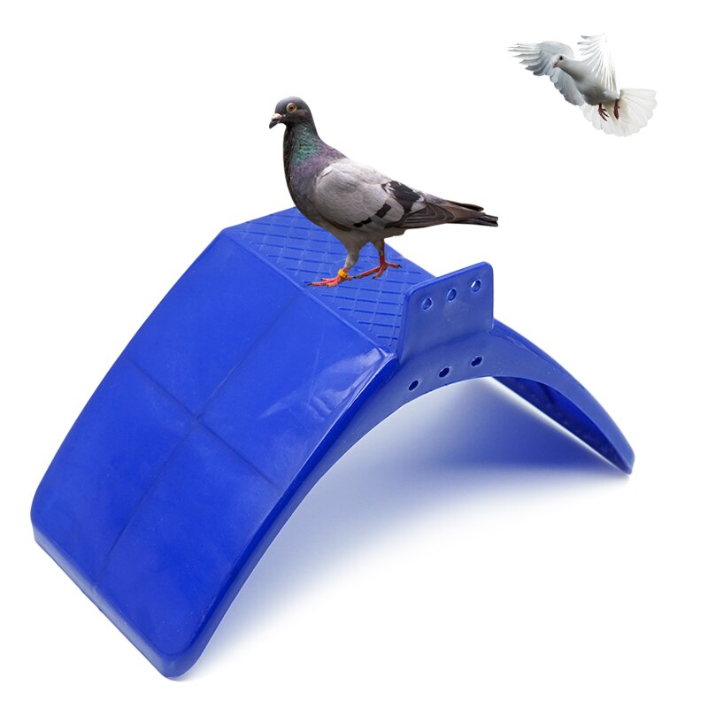 Cadre de repos en plastique bleu pour pigeons, colombe, oiseau, perroquets, pigeons, colombe, oiseaux, perchoirs, abri, fournitures pour oiseaux, 5/10/15 pièces