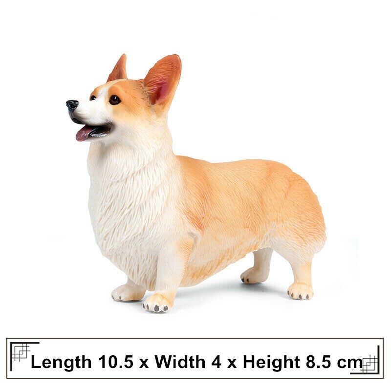 Pembroke Welsh Corgi Figure Dog Pet Animal Model Toy Collector Decor Kids Educational Toys Decoration Kid Birthday: M-1089