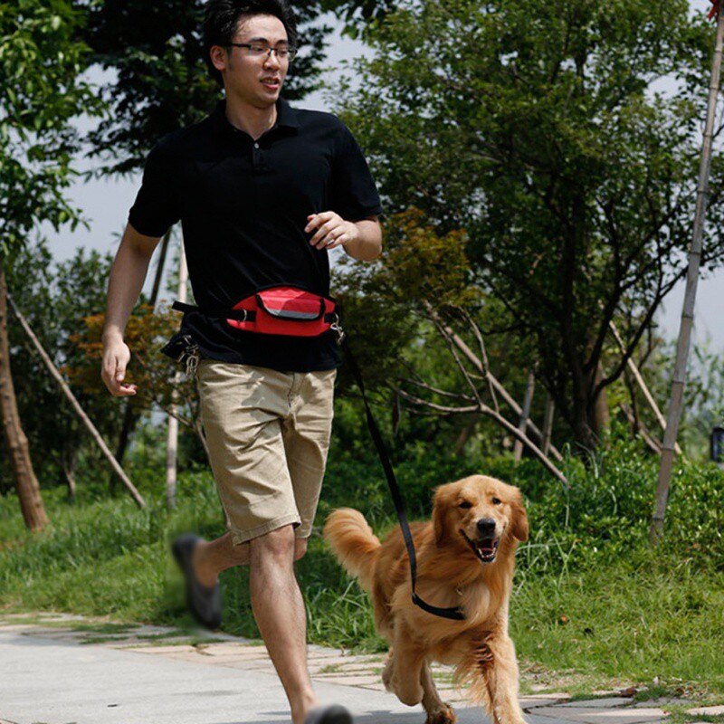 Draagbare afneembare geleideriem voor huisdieren, buitensporttraining, heuptas voor huisdieren