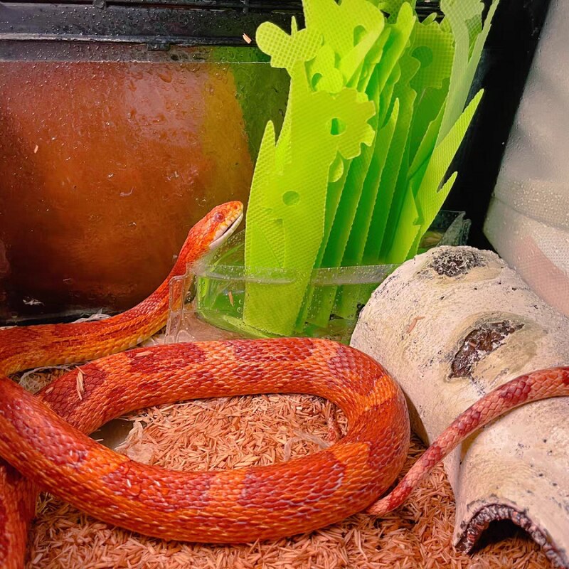 Reptile Habitat Resin Ornament Log Lizard Hideout Small Animal Cave Bark Bend Leopard Gecko Spider Snake Turtle Fish Shrimp
