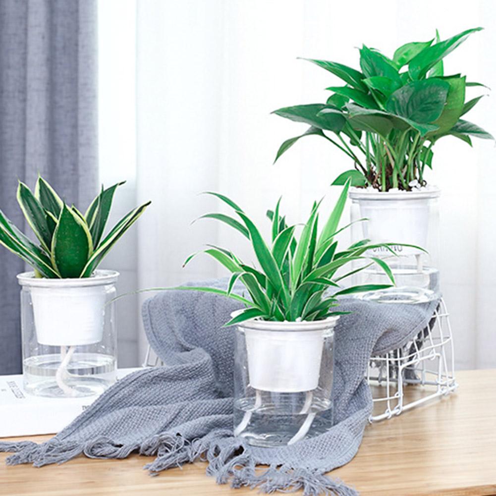 Clear Automatic Water Absorption Self Watering Hydroponic Flower Pot Planter Flower Pot