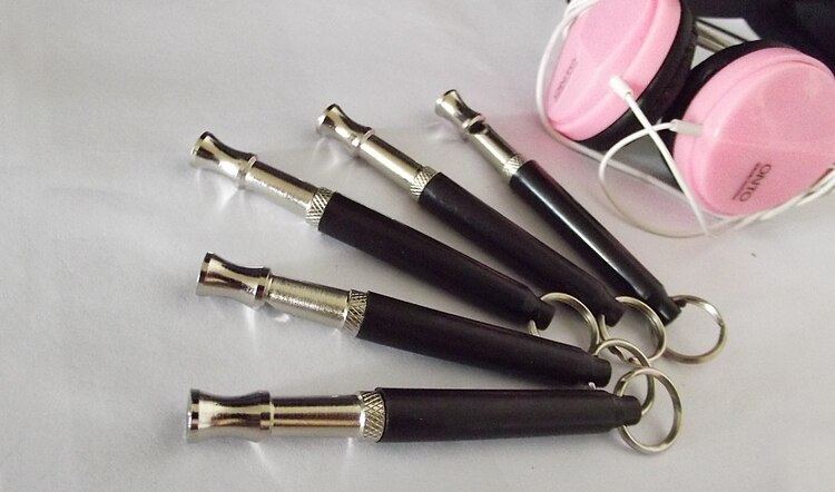 La Aquila fischio con alta frequenza ad ultrasuoni fischio/falco falconeria chiamato per ulteriori formazione unità falco fischio