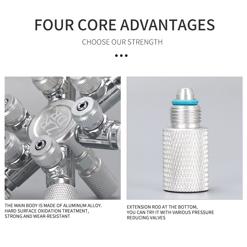ZRDR – distributeur de CO2 multi-voies pour Aquarium en acier inoxydable, vanne à aiguille de séparation, clapet anti-retour, compteur de bulles pour régulation de solénoïde
