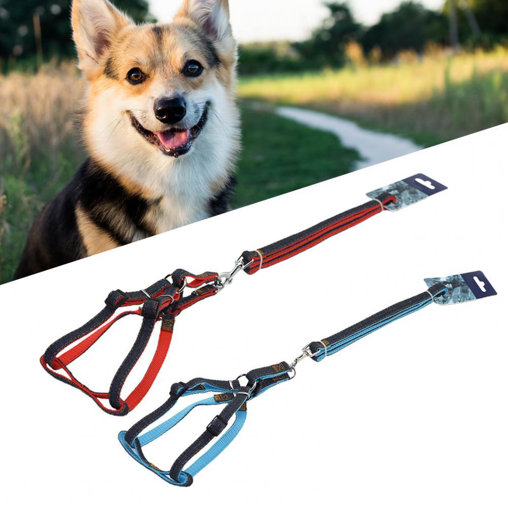 Puppy Harnas Borstband Kraag Accessoires Voor Grote Medium Hond Dierbenodigdheden