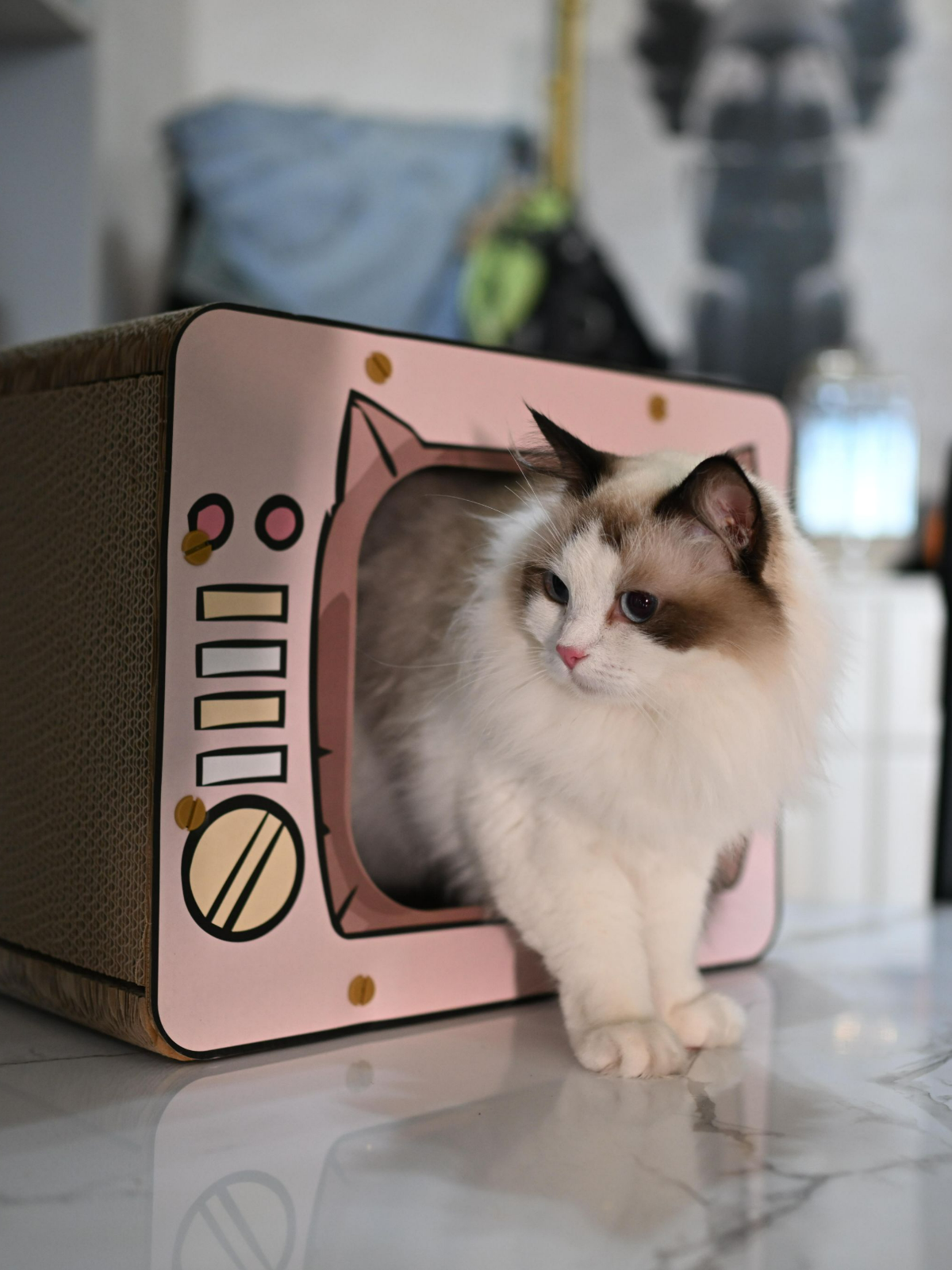 TV Cat Scratching Board Cat House Wearable Scratch Resistant Cat House Indoor for Cats