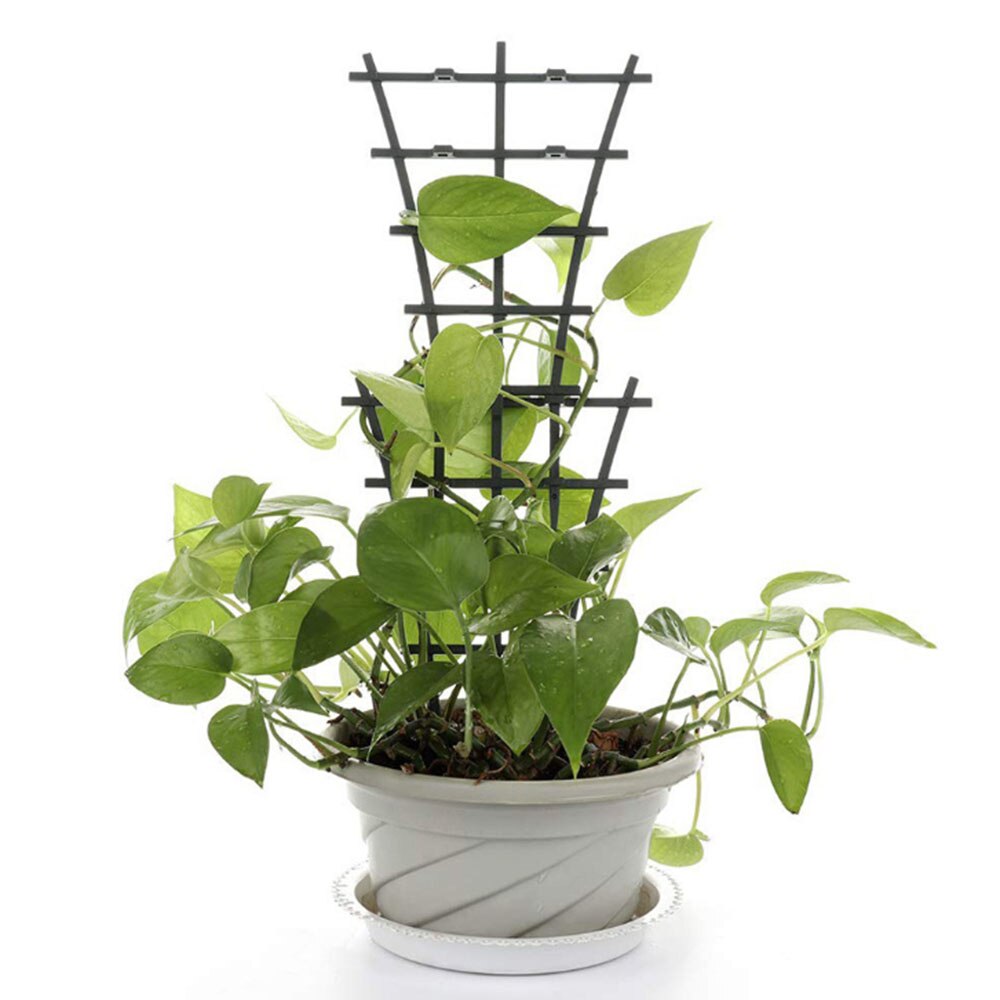 Plant Klimrek Ondersteuning Frame Tuin Mini Bovenop Potplanten Ondersteuning Plastic Ondersteuning Lijn Voor Groenten En Bloemen