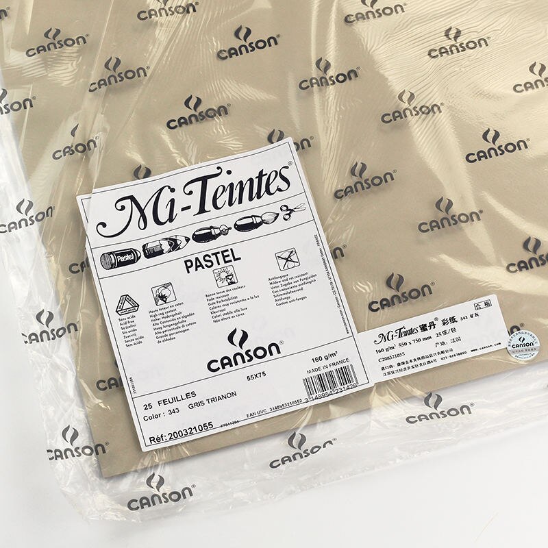 France Canson Soft Pastel Paper 4K Mi-Teintes 12Pcs Oil Pastels Painting Paper Chalk Crayon Sketch Color Pencils