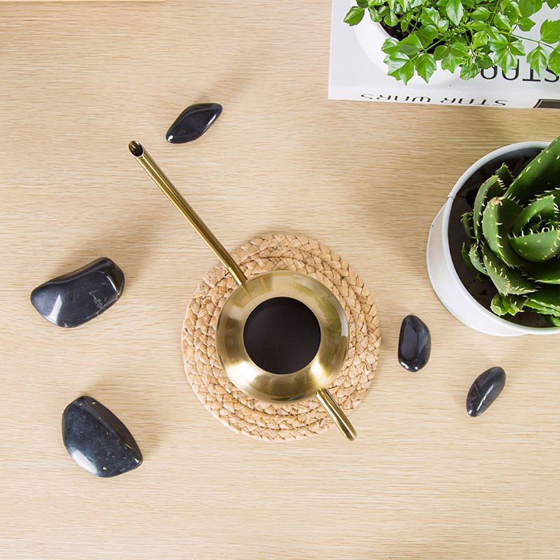 Stainless Steel Watering Can with Long Spout Modern Style Watering Pot,53oz/1.5L 667A