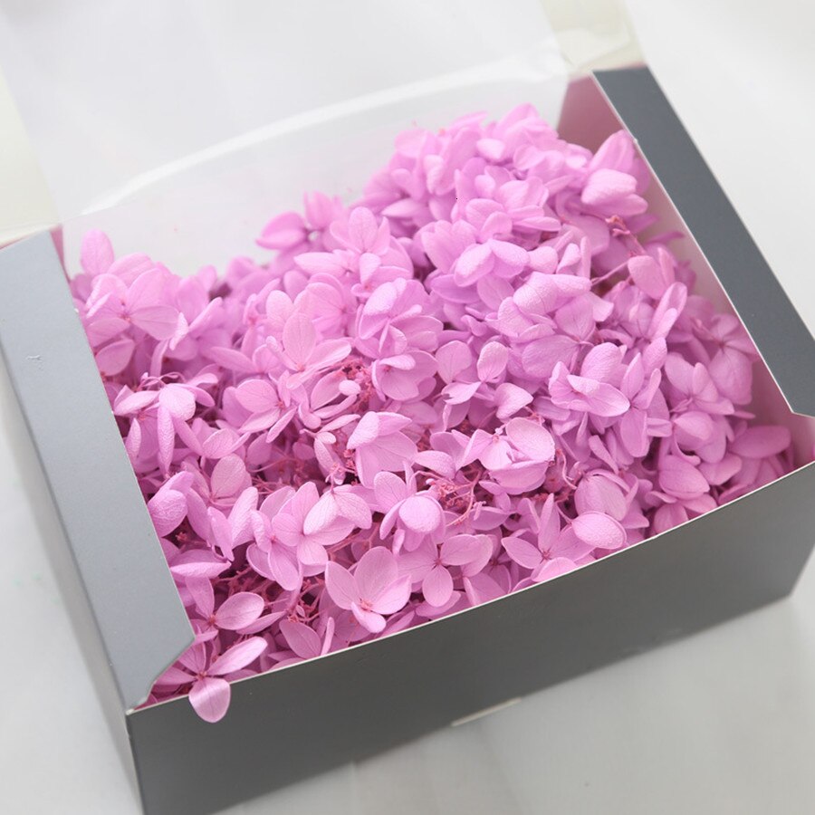 20g naturlige frisk hortensia tørket blomsterhode gjør-det-selv ekte evigblomstmateriale langtidskonservering falmer ikke: 1