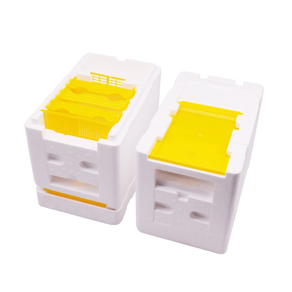 Beekeeping Tool Kit Beehive Queen Beekeeping Box Harvest Queen Pollination Box Foam Box Queen Reserve Beehive Supplies