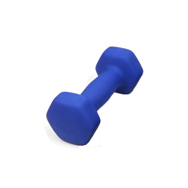 Dumbbells Set - 1kg Paar - Spuitverf Afwerking - Home Fitness Gewichtheffen