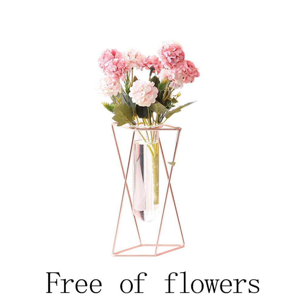 Nordisk stil glass blomsterpotte jern kunst vase rose gull hengende prøverør blomstervaser hjemmekontor dekorasjon skrivebord blomsterpotter
