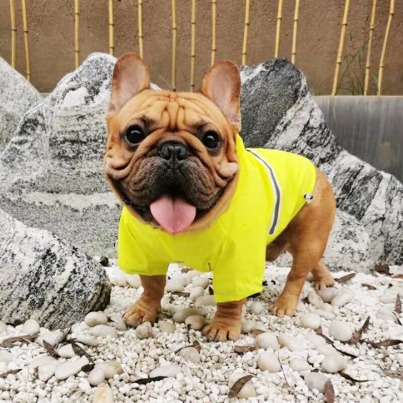 Hund regnjacka reflekterande vattentäta kläder för hund regnjacka pudel schnauzer mops fransk bulldog kläder corgi kostym outfit