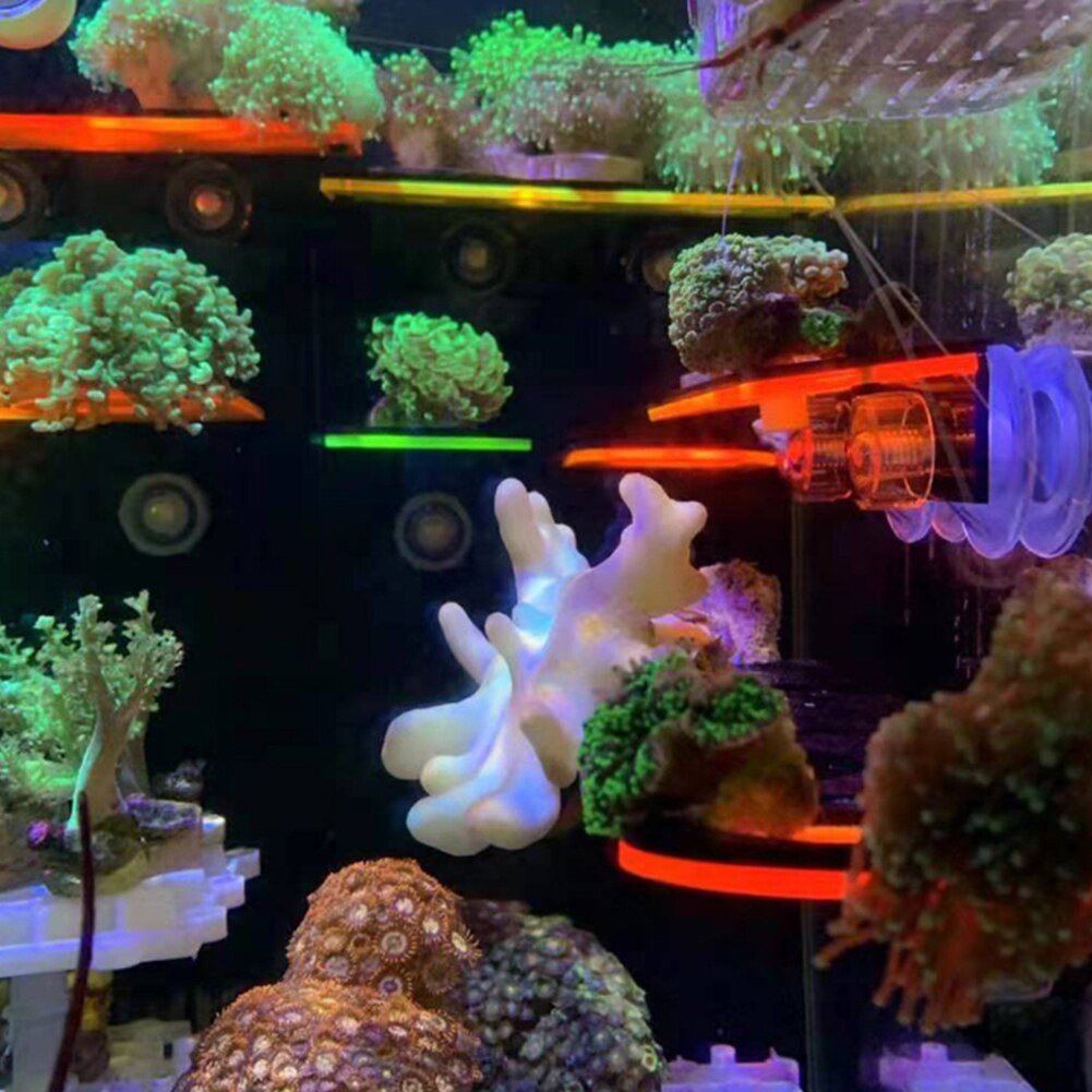 1/3 Lights Fish Tank Fluorescence Coral Frag Rack Bracket Acrylic Aquarium Reef Plugs Holder Mount Water Plant Stand Suction Cup