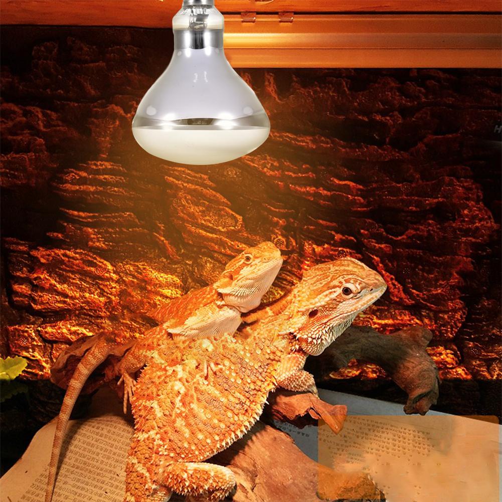 80w/100w/160w e27 uppvärmningslampa för husdjur, bländfri multifunktionell uva uvb fullspektrum uv-lampa glödlampa basking lampa för reptilanvändning