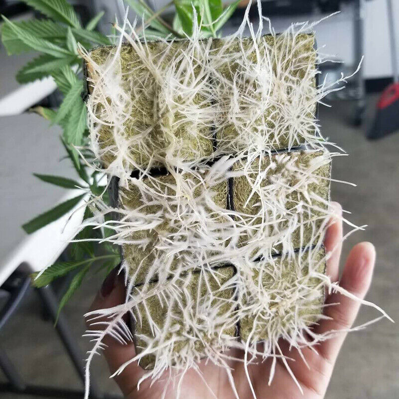 Media Hydroponic Grow Soilless Cultivation Blocks Compress Base Rockwool Cubes Planting Practical Ventilative Garden