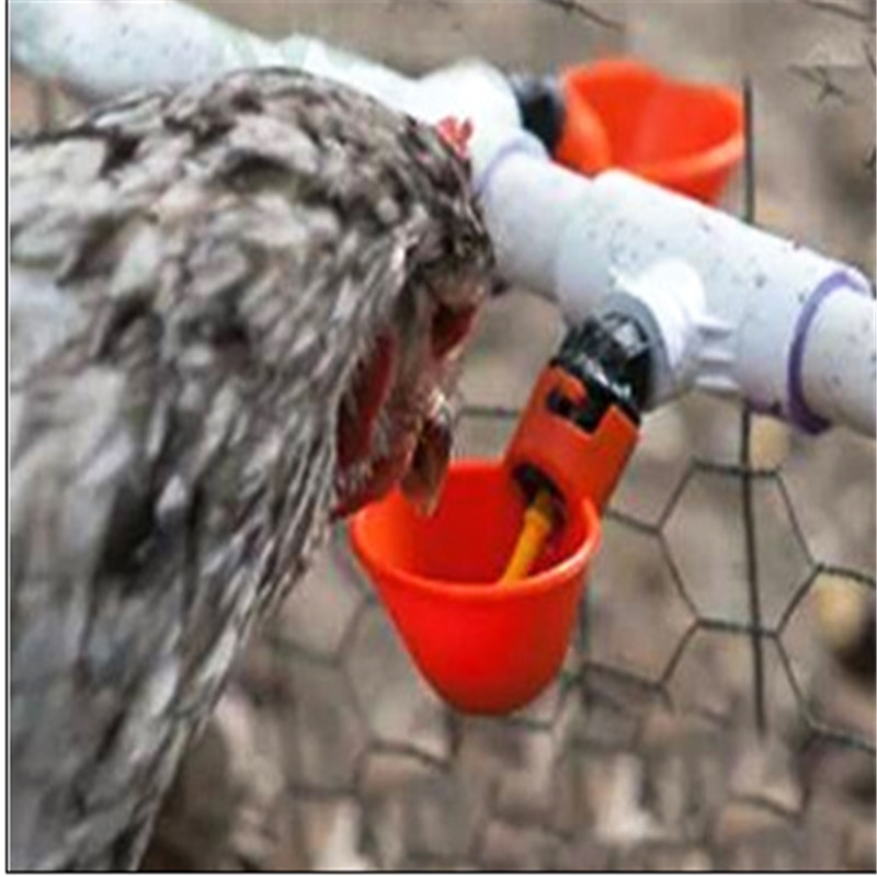 1 Pcs Chicken Drinking Cup Automatic Drinker Chicken Feeder Plastic Poultry Water Drinking Cups Easy Installation With Screws