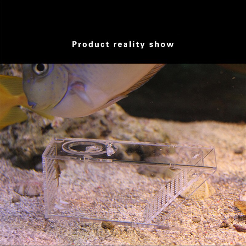 Acrylic Clear Aquarium Shrimps Crabs Trap Box One-Way Valve Fish Tank Supplies