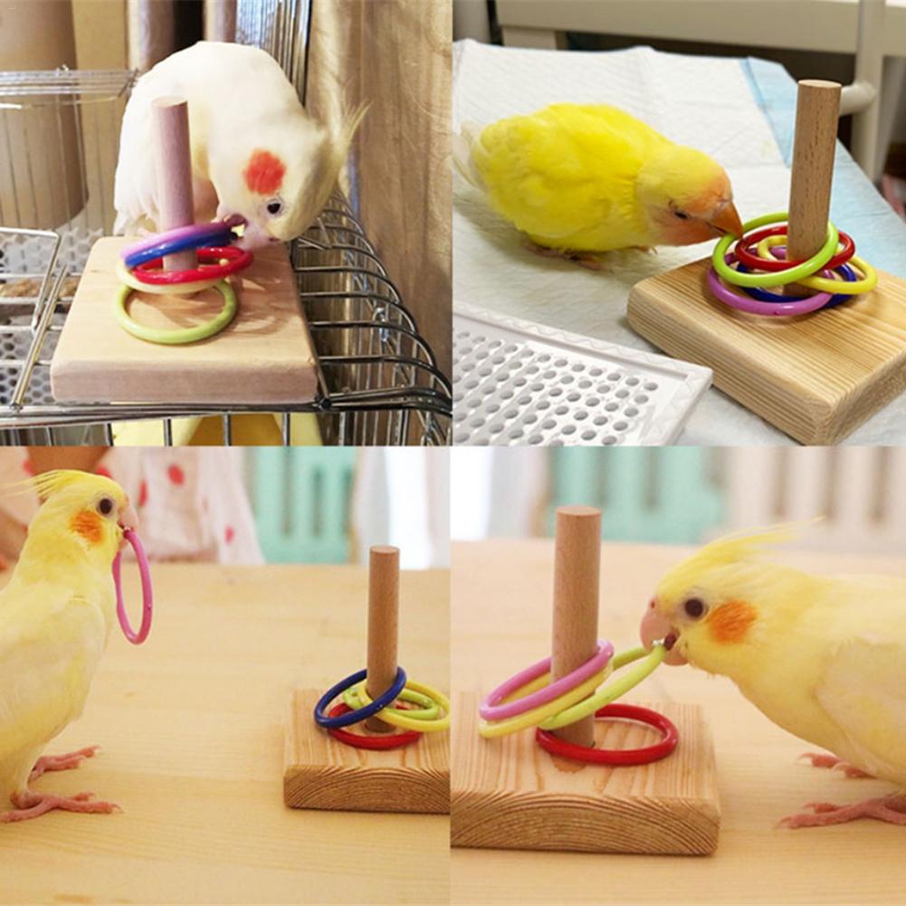 Ipetboom Vogel-Spielzeug – Rollschuh-IQ-Training Für Papageien, Sittiche & Conures – 1 Paar Bunte Skate-Toys Für Intelligente Vögel