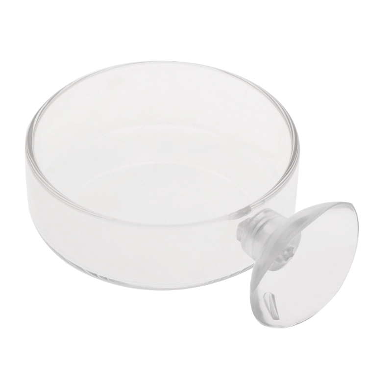 Plato alimentador de cristal transparente de gambas para comer, bandeja de comida, contenedor redondo, cuencos de alimentación para pecera de acuario