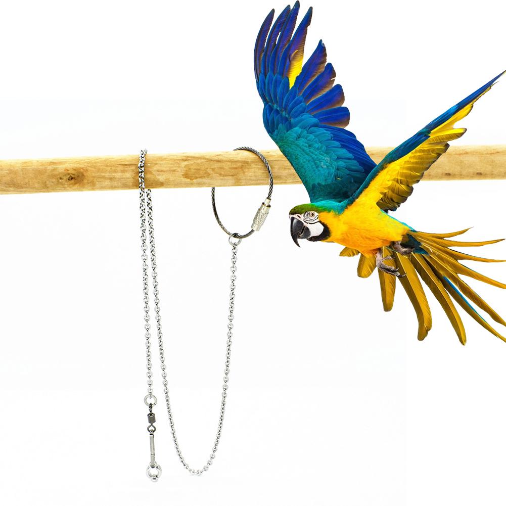 Parrot Foot Ring Anklet Stainless Steel Bird Chain Tiger Skin Starling Peony Cockatiel Pigeon Stand Open Foot Ring Buckle