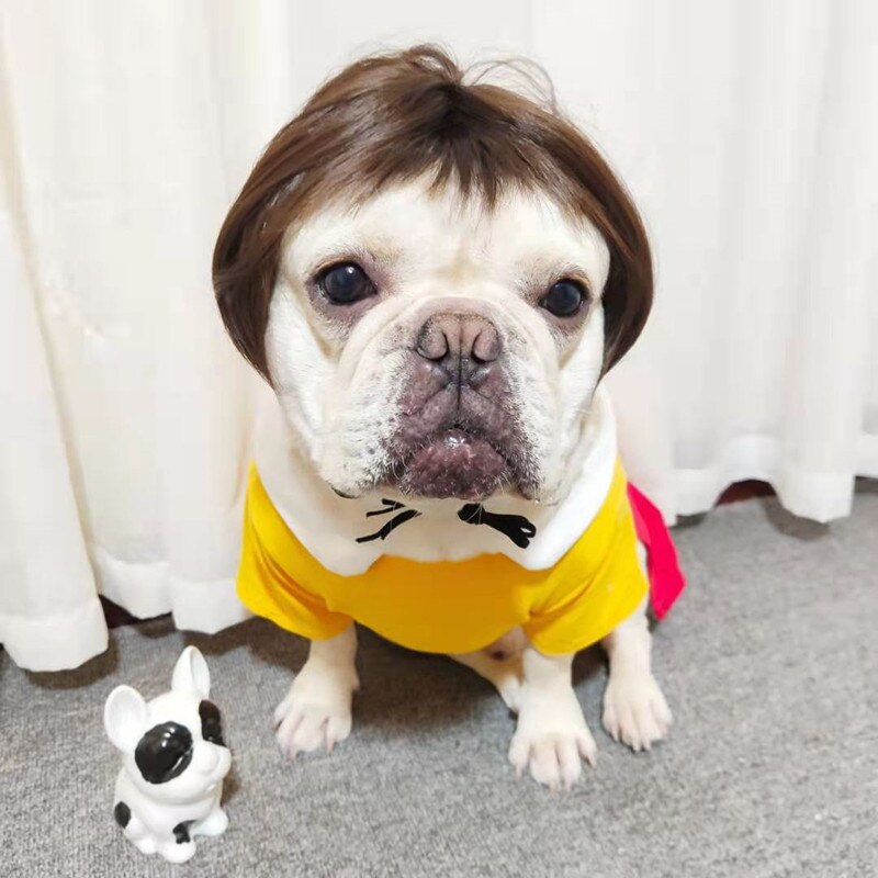 Kæledyr parykker cosplay rekvisitter sjove hunde katte cross-dressing hår hat kostumer hoved tilbehør til halloowen jul kæledyr forsyninger