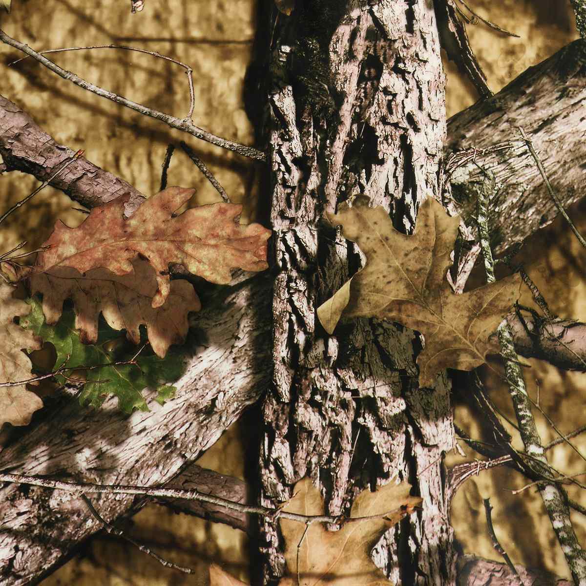 Feuilles de bois Style 50x150cm PVA Film hydrographique transfert d'eau Film d'impression hydrodip style autocollants