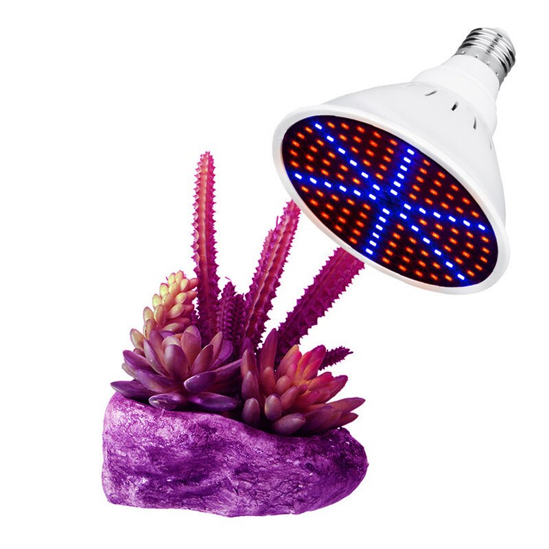 Luz Led para cultivo de plantas led de plástico para plantas, 200 cuentas, foco para plantas, Bombilla para interior, luz de relleno suculenta