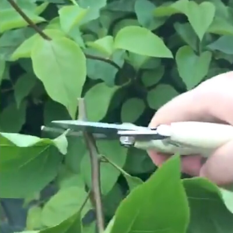 1pc beskärare trädskärare trädgårdsskötsel beskärningsax sax rostfritt stål skärverktyg set hem verktyg halkskydd