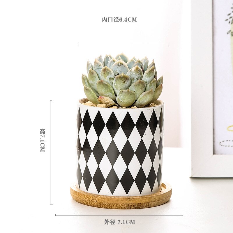 Nordic Geometric Pattern Ceramic Succulent Pot Straight Simple Black and White Home Decoration Succulent Small Potted Plant: A