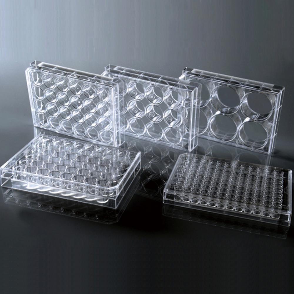 Laboratorieforsyning cellekulturplade tc overflade porøs steril dyrkningsplade eksperimentelt værktøj