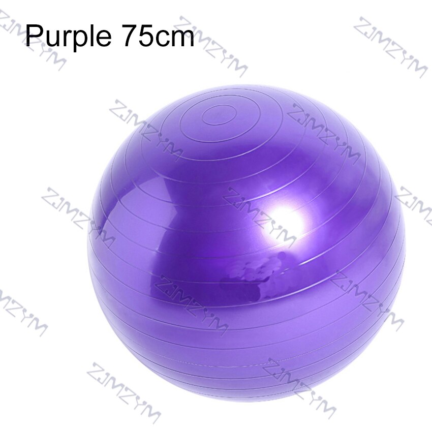 55cm/65cm/75cm Fitness Ball Household Exercise Massage Training Balance Fitball Yoga Pilates Workout Ball with Manual Inflator: Purple 75cm