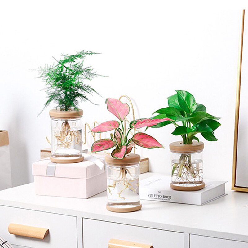 Kasviruukut laiska läpinäkyvä kukkaruukku läpinäkyvä ruukku automaattinen vettä imevä kukkaruukun jäljitelmälasi