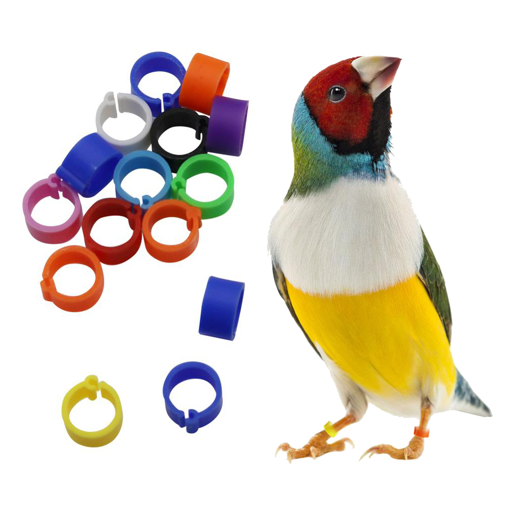 Bird Foot Ring Outdoor Flight Training Tool Plastic Clip Ring Pigeon Dove Quail Foot Ring Competition Identification Label