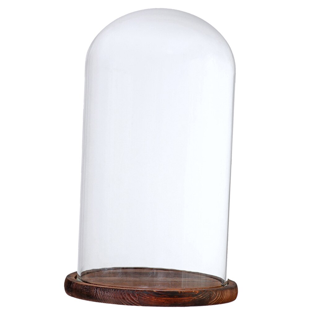 Klart glas lock landskap vas terrarium behållare blomhållare kupol för jul bröllop heminredning: Brun g
