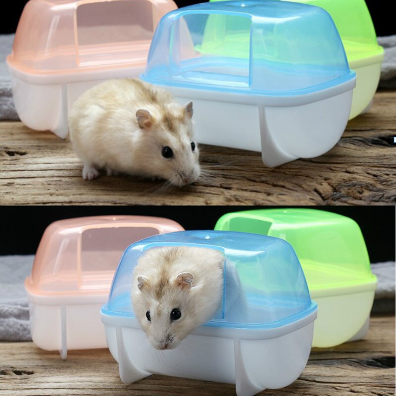 Chinchilla-salle de bain pour animaux domestiques, salle de bain, bain, hamsters, maison, piscine
