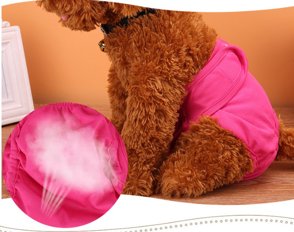MICATALE Weibliche Hund Welpen Physiologischen Hosen Atmungs Pet Unterwäsche Windeln Waschbar Mädchen Haustiere Windel Für Kleine Mittelgroße Hunde