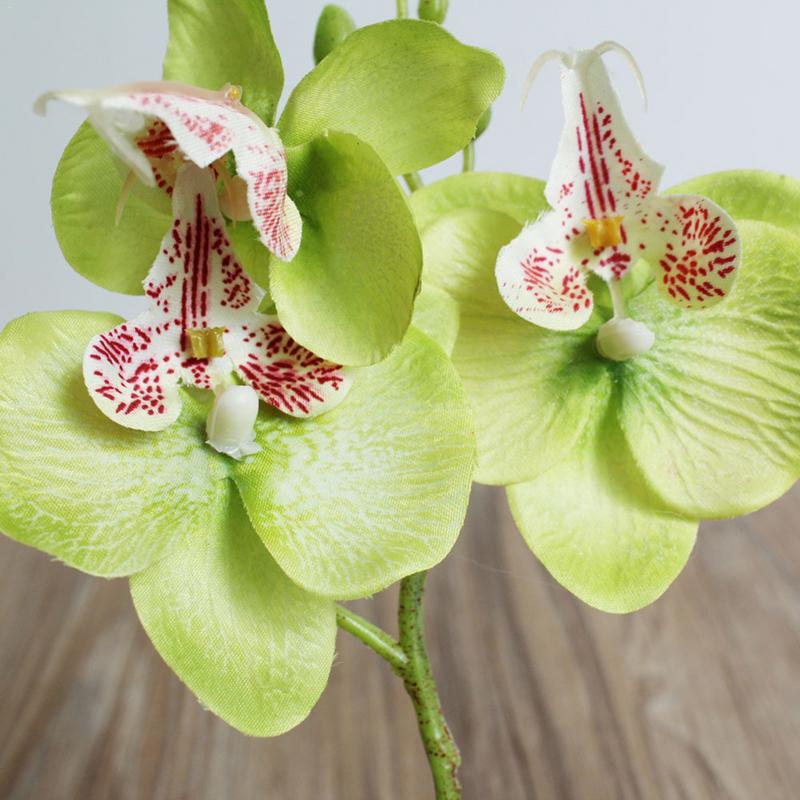 Kunstig blomst plast orkidé silke blomst hjem mini phalaenopsis simulering planter bryllupsfest dekoration blomst gren