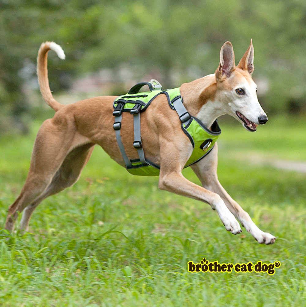 Hond Harness Training Vest Voor Medium Grote Honden Verstelbare Sterke Outdoor Avontuur Reizen Harnas Pitbull 8816