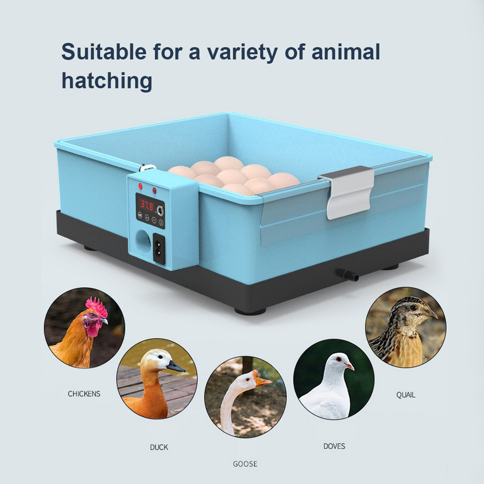 20-66 Eggs Incubator Brooder Bionic Waterbed Goose Duck Quail Pigeon Poultry Brooder Automatic Farm Hatchery Tool