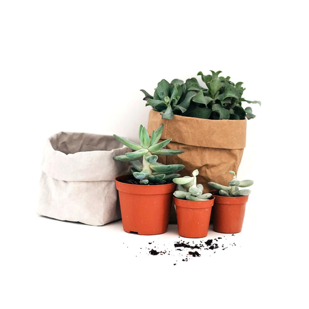 2 Color Waterproof Eco-friendly Kraft Paper Flower Pot Holder Reuseable Plant Pot Drouble Multifunction Desktop Home Storage Bag