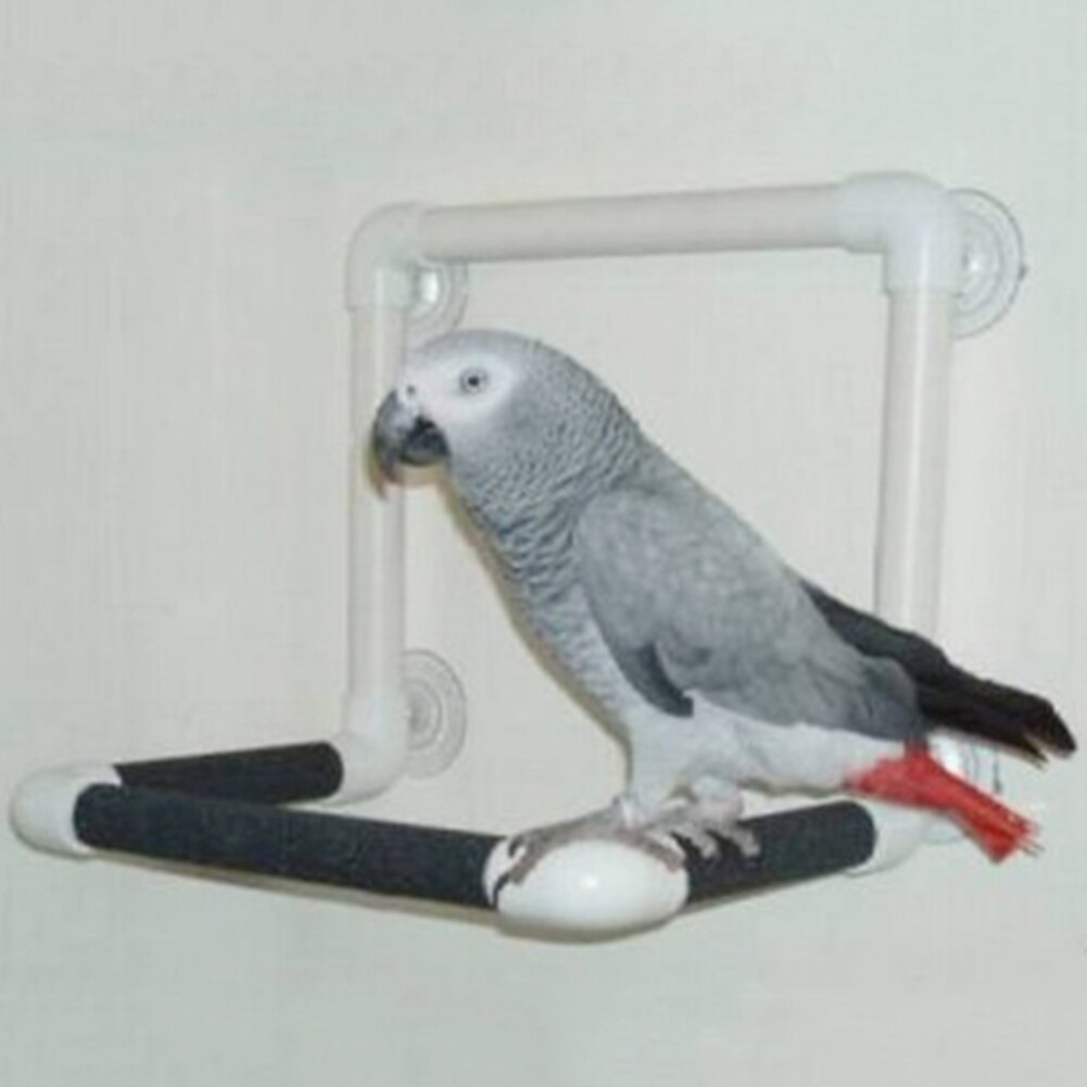 Fugle papegøje sugekop bruser aborre bur stående bar badning legetøj kæledyr forsyninger