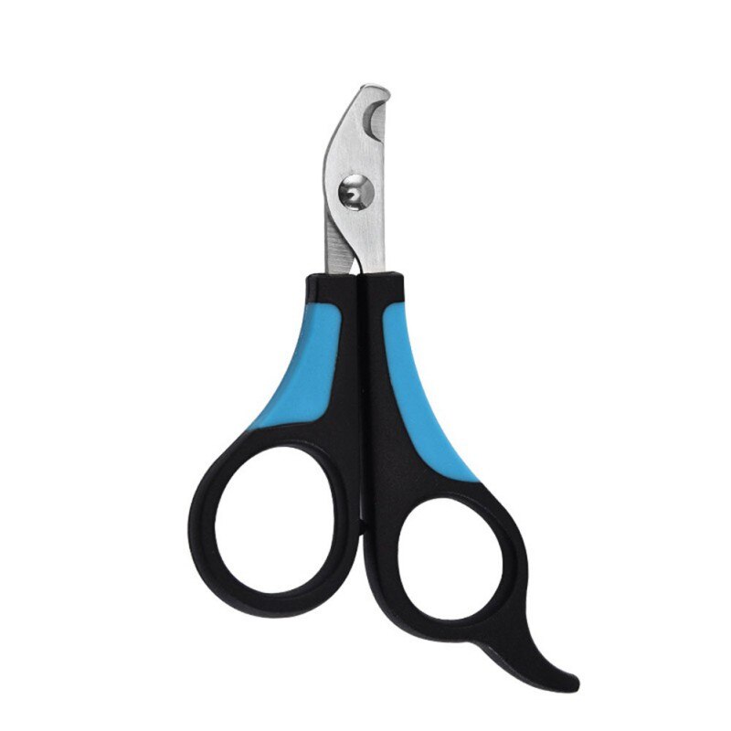 Coupe-ongles pour animaux domestiques, ciseaux de coupe pour chiens, chats, oiseaux, cochon d'inde, griffes, coupe-patte, oiseau, perroquet, cisaille les animaux: Bleu