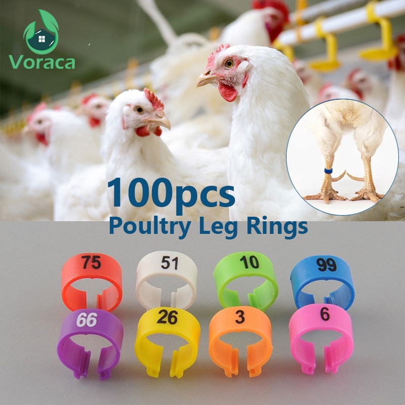 100Pcs Poultry Leg Bands Bird Pigeon Parrot Duck Hen Rings Clip 1-100 Numbered Poultry Leg Rings 10 Colors Pet Product 10.5mm